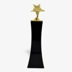 Gold Star Award Trophy – Premium Custom Recognition Trophy