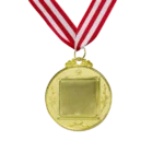 Small Custom Medal with Ribbon – Premium Award & Achievement Medal